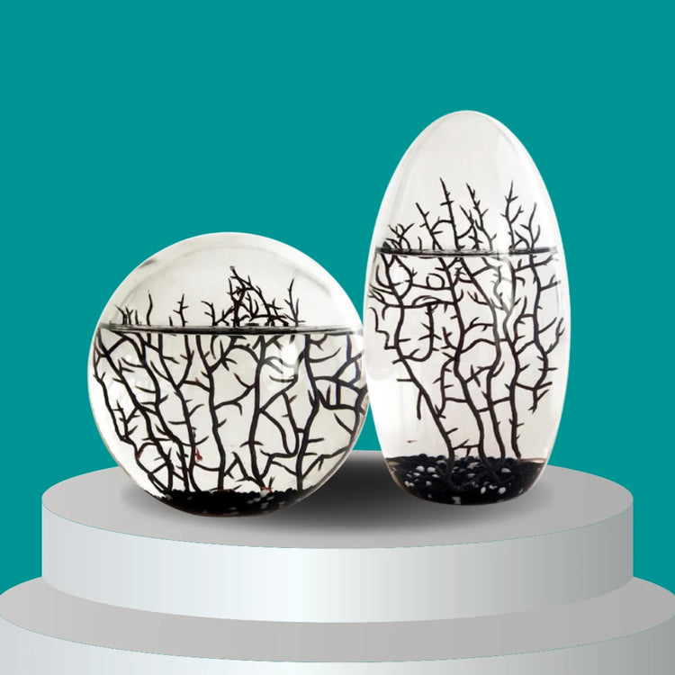 Les EcoSpheres "BLACK EDITION"