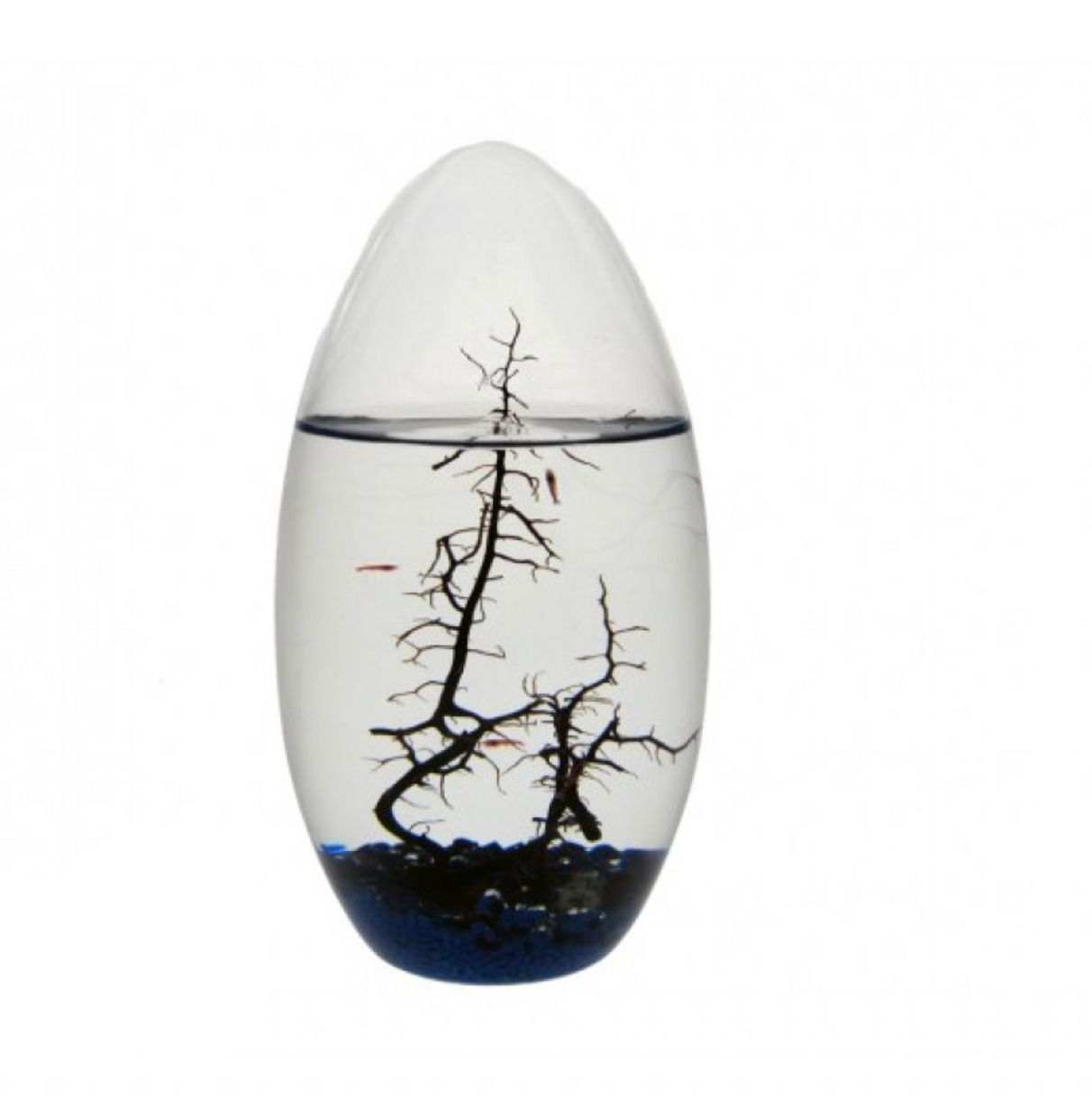 EcoSphere Méditerranée Ovale 19cm (h)