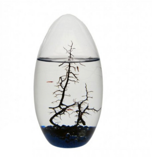 EcoSphere Méditerranée Ovale 13cm (h)