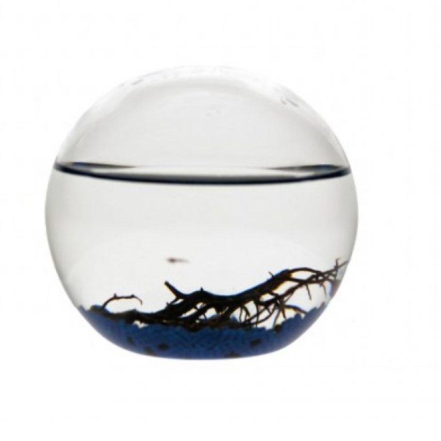 EcoSphere Méditerranée Ronde 10cm (d)