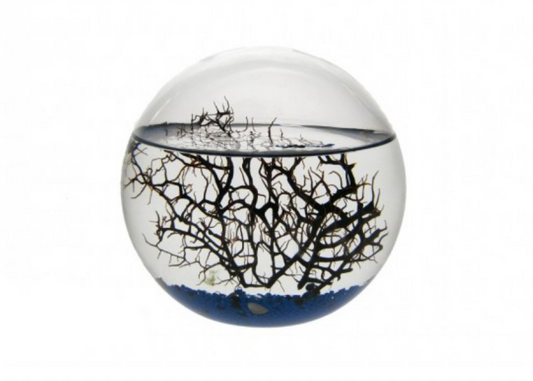 EcoSphere Méditerranée Ronde 13cm (d)