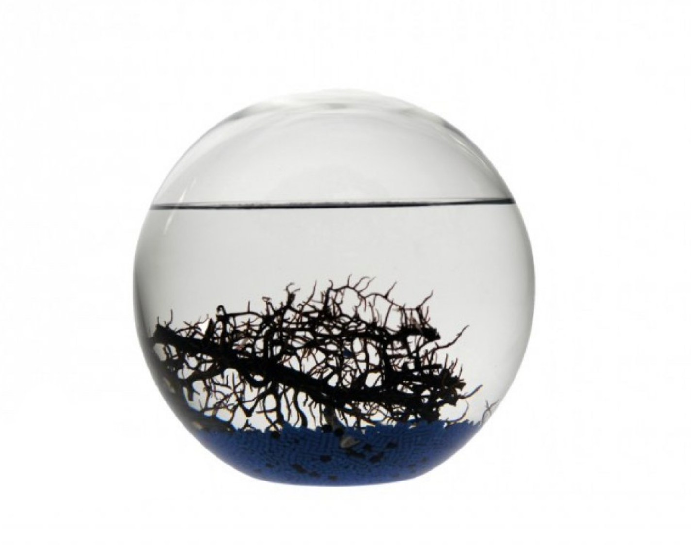 EcoSphere Méditerranée Ronde 16cm (d)