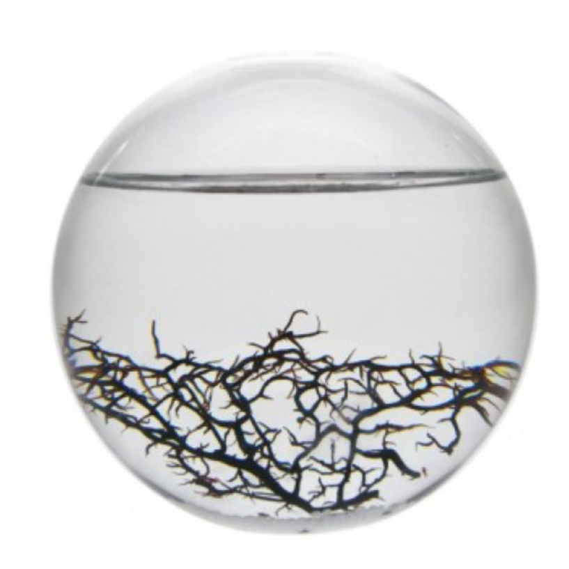 Recharge pour une EcoSphere Ronde - 13 cm diamètre