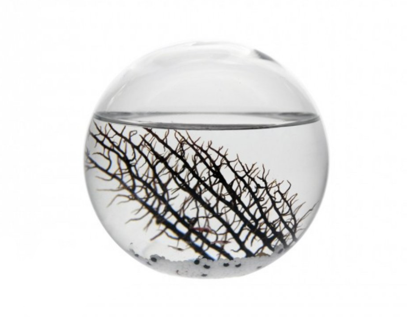 Recharge pour une EcoSphere Ronde - 16 cm diamètre