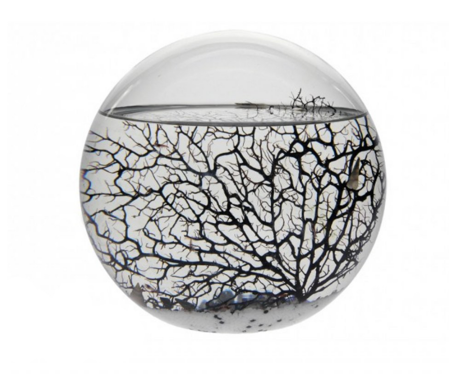 Recharge pour une EcoSphere Ronde - 23 cm diamètre