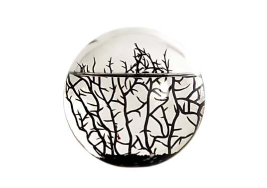 EcoSphere Black Edition Ronde 16cm (d)