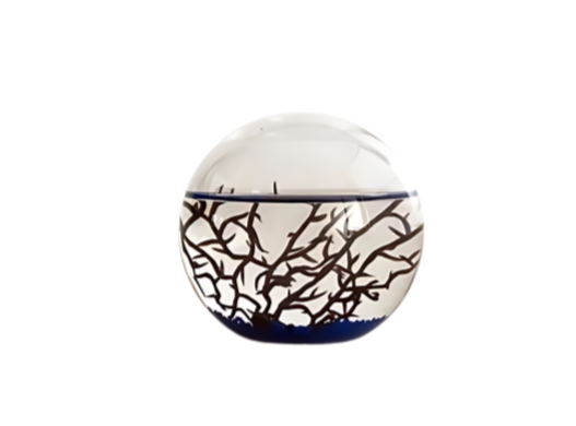 EcoSphere Atlantique Ronde 10cm (d) – EcoSphere France