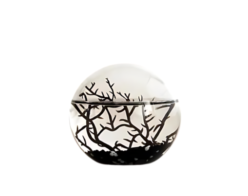 EcoSphere Black Edition Ronde 10cm (d)